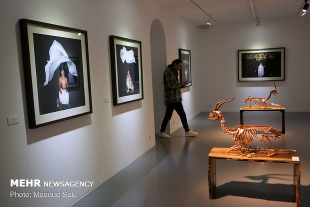 Photo, sculpture gallery dedicated to Hormuz gazelles