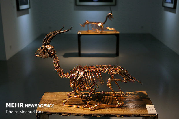 Photo, sculpture gallery dedicated to Hormuz gazelles