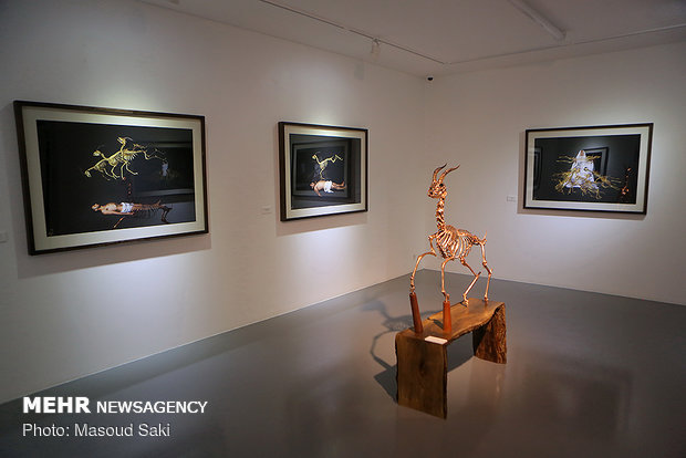 Photo, sculpture gallery dedicated to Hormuz gazelles