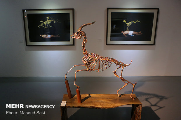 Photo, sculpture gallery dedicated to Hormuz gazelles