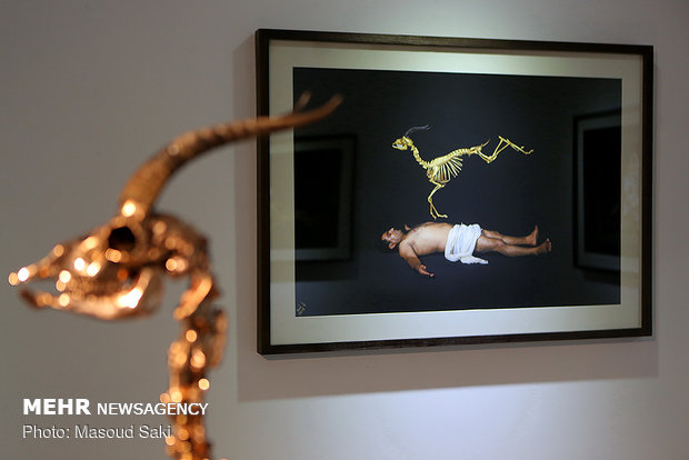 Photo, sculpture gallery dedicated to Hormuz gazelles