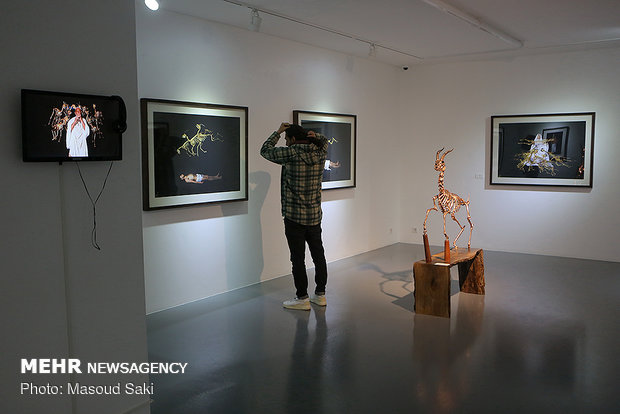 Photo, sculpture gallery dedicated to Hormuz gazelles