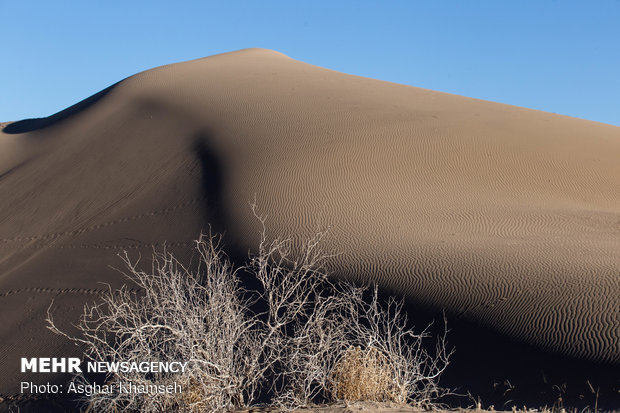 Abuzeydabad desert tour