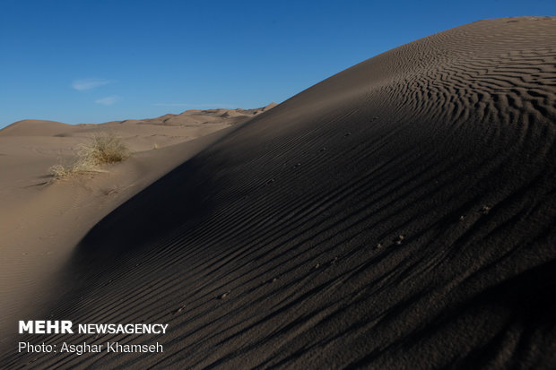 Abuzeydabad desert tour