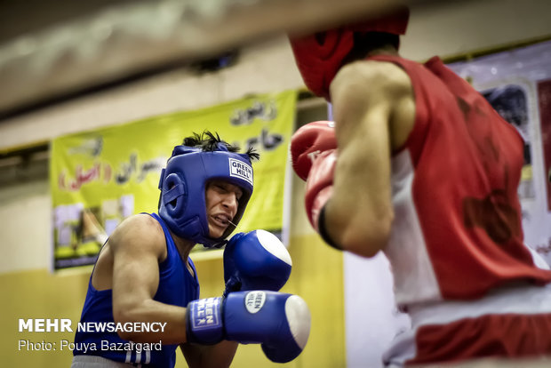 Boxing competitions in Rasht