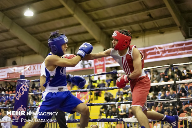 Boxing competitions in Rasht