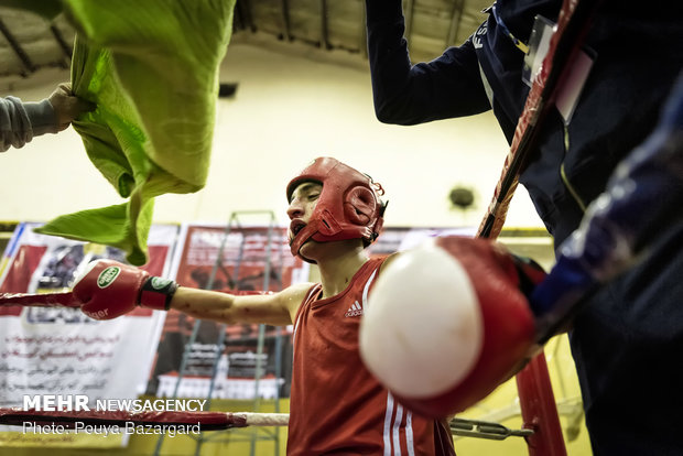 Boxing competitions in Rasht