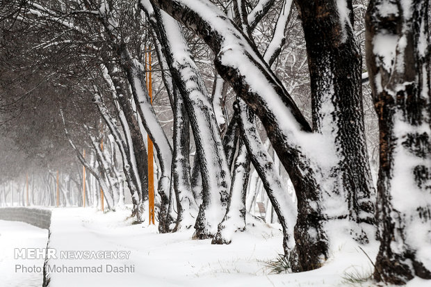 Northwest Ardabil embraces early start to winter