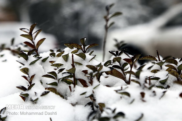 Northwest Ardabil embraces early start to winter