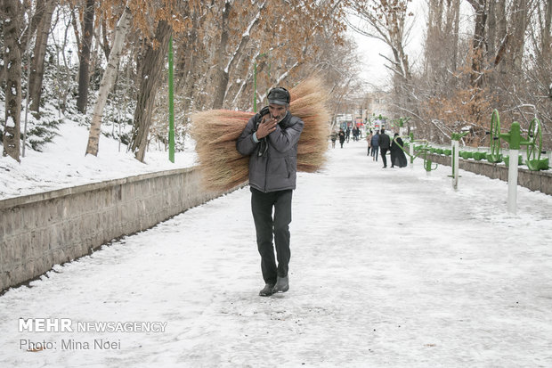 First snow in Tabriz this year