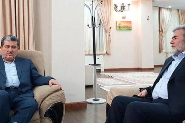 Palestine still Muslim world’s first and foremost priority