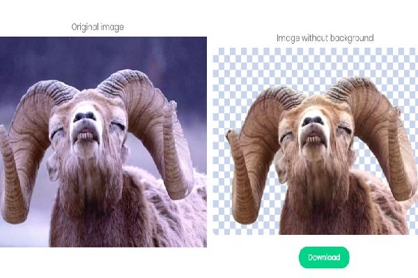 حذف سریع پس زمینه عکس ها با هوش مصنوعی