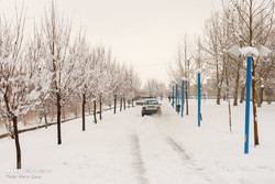 Snow storm hit 17 Iranian provinces 