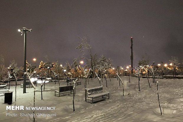 First winter snow blankets Tehran