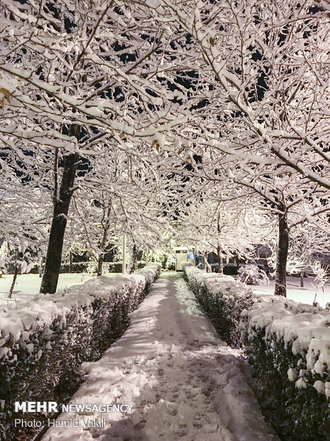 First winter snow blankets Tehran