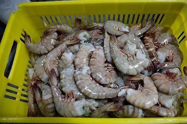 Shrimp exports exceed 24,000 tons in 9 months