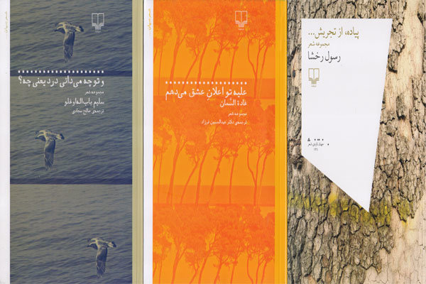 چاپ ۳ کتاب شعر ایرانی و خاجی جدید/اعلان عشق عاشق علیه معشوق