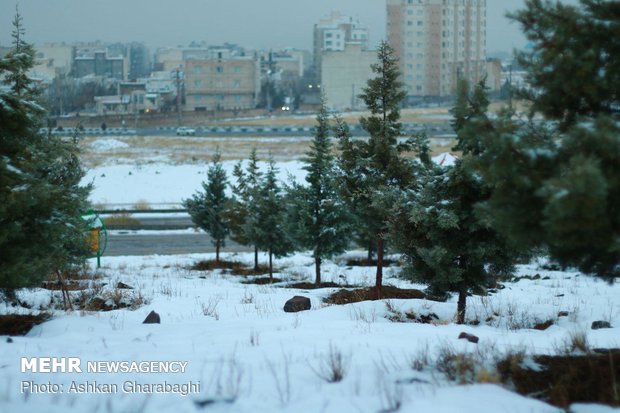 هطول الثلج بمدينة "زنجان" 