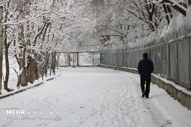 Zanjan under snow 