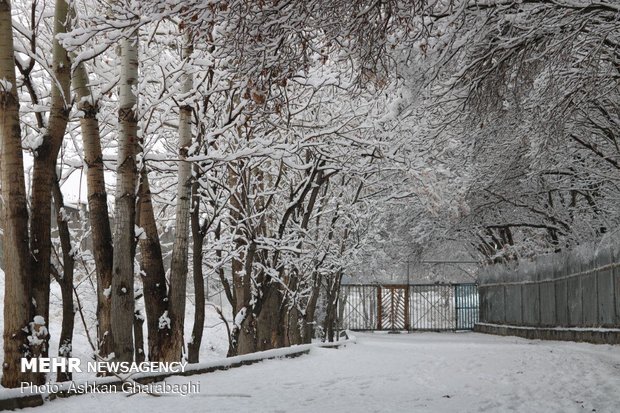 Zanjan under snow 