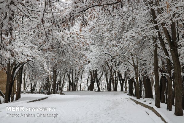 Zanjan under snow 