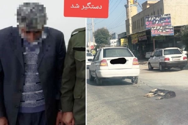 فرد حیوان‌آزار در استان بوشهر شناسایی و دستگیر شد