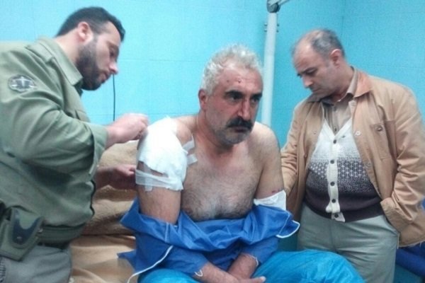 حمله یک قلاده پلنگ به چوپان شفتی در جنگلهای سیاهمزگی حمله یک قلاده پلنگ به چوپان شفتی در جنگلهای سیاهمزگی