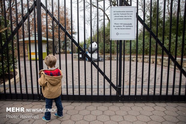 ادامه تعطیلی دولت آمریکا‎