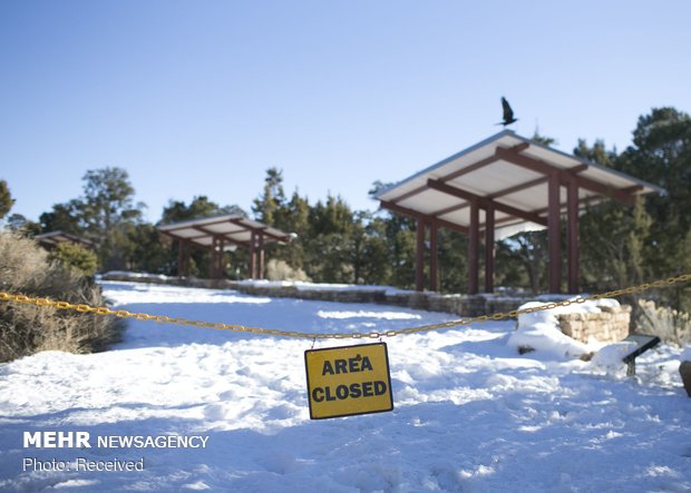 ادامه تعطیلی دولت آمریکا‎