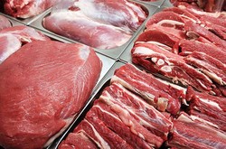 عرضه ۲۰ هزار تن گوشت قرمز به بازار/ توزیع گوشت ۵۰ هزارتومانی در فروشگاه‌های زنجیره‌ای
