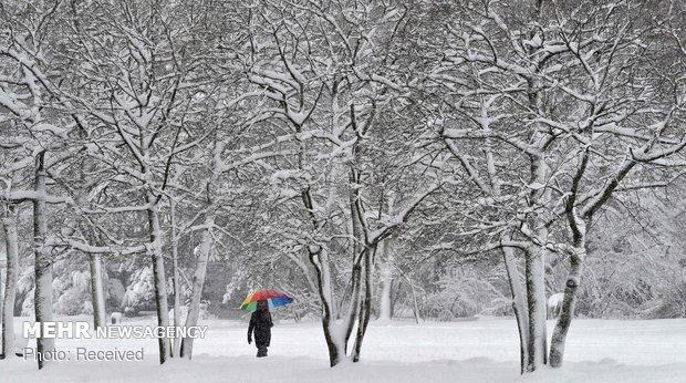 برف سنگین در آسیا، اروپا و روسیه‎