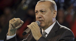 Erdogan says plans to meet with Putin, Rouhani
