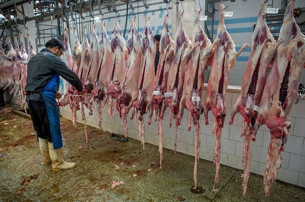 مرکز آمار: تولید گوشت قرمز در کشور ۲۰ درصد کاهش یافت