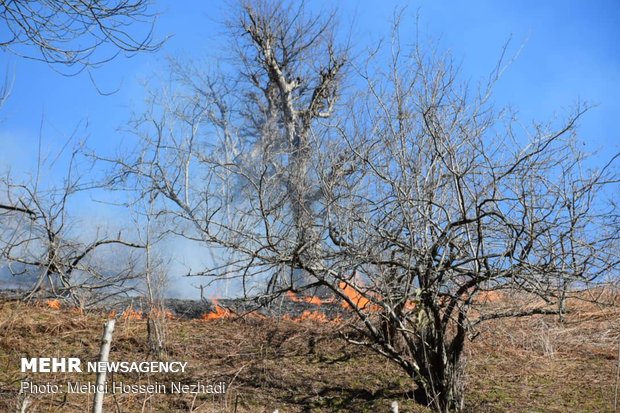آتش سوزی اراضی ملی شهرستان مرزی آستارا