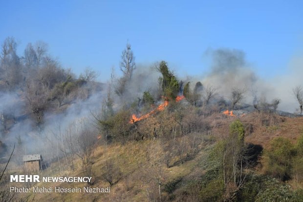 آتش سوزی اراضی ملی شهرستان مرزی آستارا