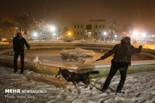 Tabriz lies under snow blanket