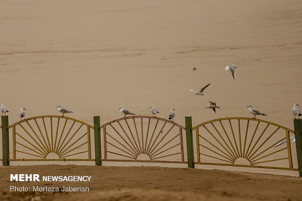 Dust storm envelops Ahvaz 