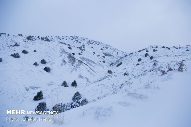 Snowplow crews clear snow rom Golestan province's roads