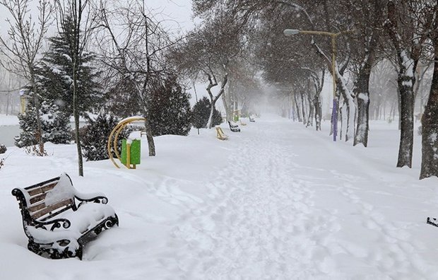 ABD'de kar fırtınası hayatı olumsuz etkiliyor