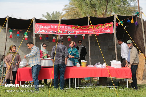 Farmers collect daffodils in Fars province