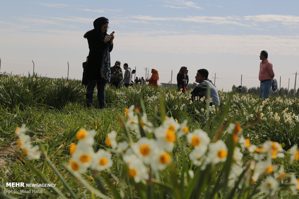 خوسف دیار شعر و نرگسها / خاطره بازی در کوچههای بافت تاریخی خور