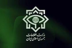 Intelligence forces smash terrorist cell in SE Iran