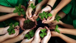 ‘Environmental education must be acquired at earlier ages’