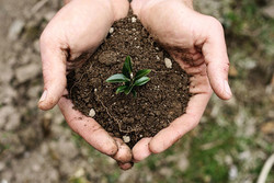 Lawmakers amend soil protection bill