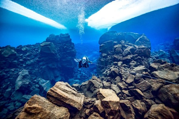 فن التصوير تحت مياه المحيطات