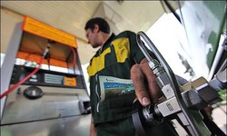 gasoline subsidy