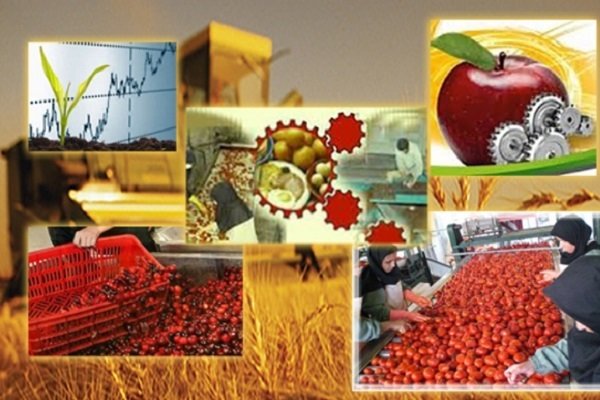 ظرفیت صنایع تبدیلی وغذایی سیستان و بلوچستان ۱۵ هزارتن افزایش یافت