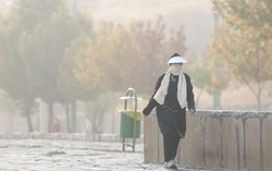 Plan to combat SDSs in Tehran submitted to DOE 
