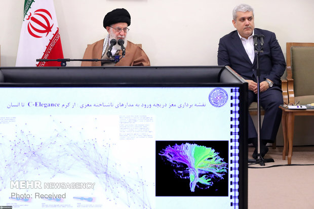 دیدار جمعی از مسئولان و محققان پژوهشکده علوم شناختی با رهبر انقلاب