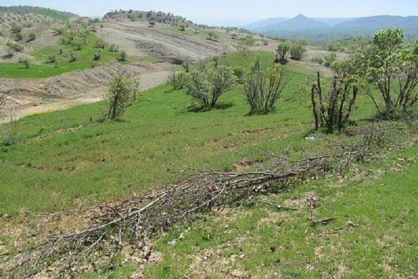 ۳۶ هزار متر مربع از اراضی ملی در فیروزکوه رفع تصرف شد